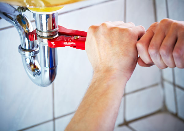 About Milo Plumbers